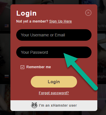 Stripchat sign in