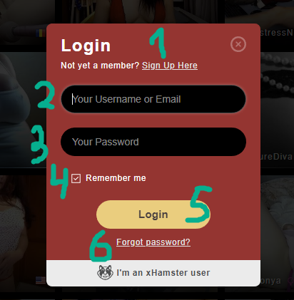 Stripchat log in form
