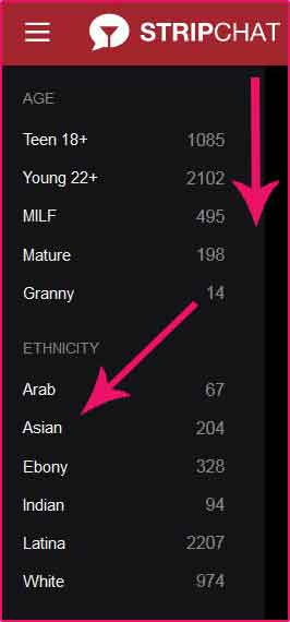 Asian StripChat Categories