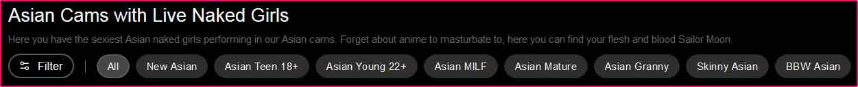 Asin StripChat sub categories