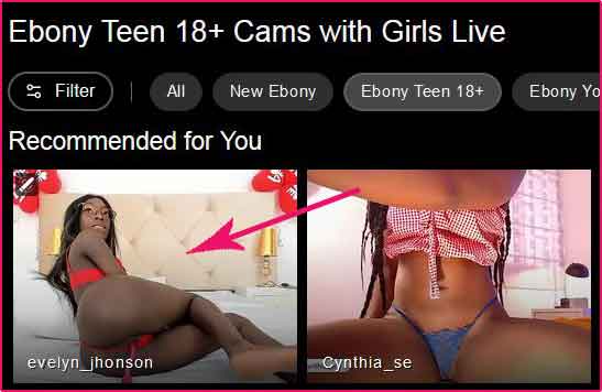 Chat with Ebony StripChat Cams