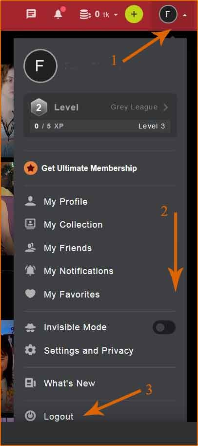 Log out from StripChat on the web
