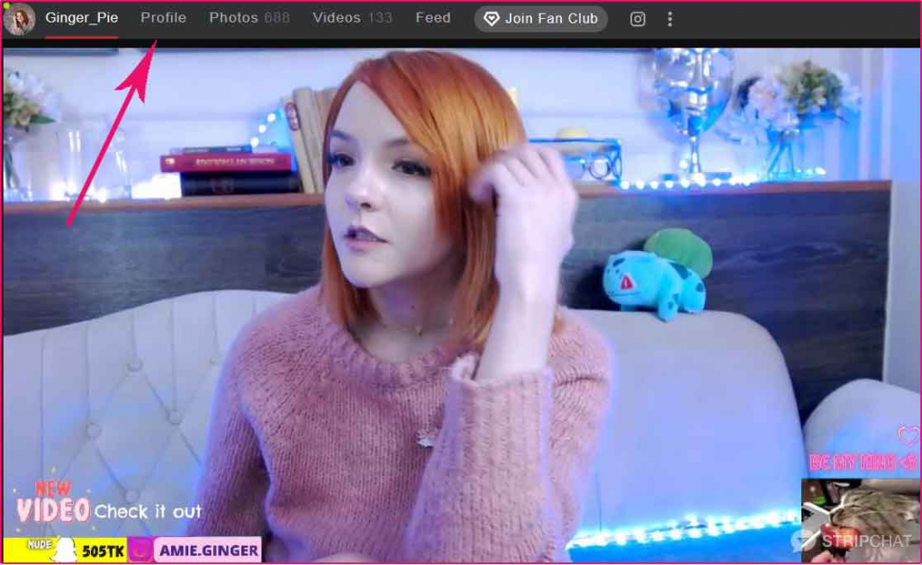 StripChat free content